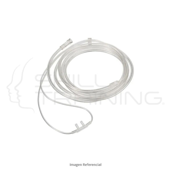 Naricera adulto - Imagen 1