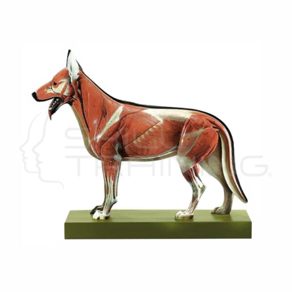 Modelo de Perro Pastor Aleman - Imagen 1