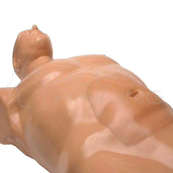 Entrenamiento de ultrasonido de aneurisma aórtico abdominal - Imagen 1