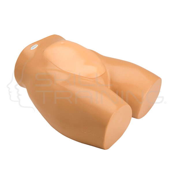 Modelo de entrenamiento de ultrasonido de amniocentesis - Imagen 1
