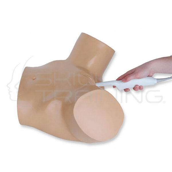 Entrenamiento de ultrasonido transvaginal de embarazo intrauterino - Imagen 1