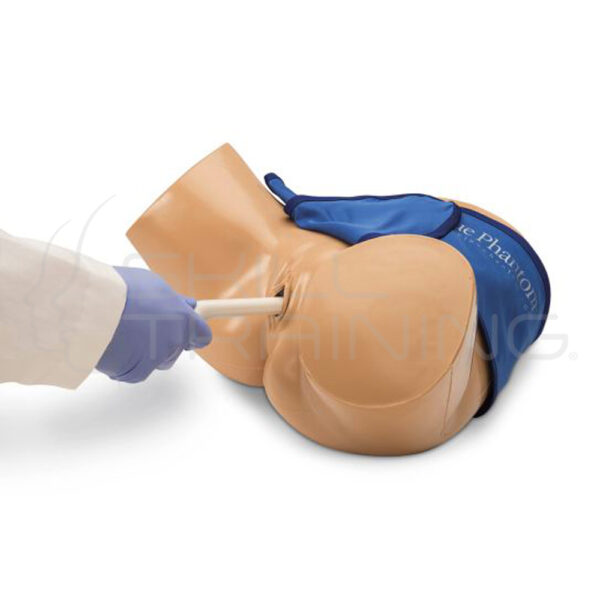 Combo entrenamiento transvaginal de embarazo intrauterino y ectópico - Imagen 1