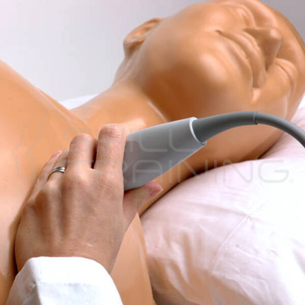 Ecocardiografía transtorácica y pericardiocentesis - Imagen 1