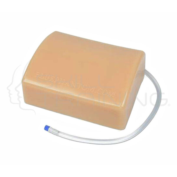 Modelo de entrenamiento de ultrasonido de drenaje de abscesos - Imagen 1