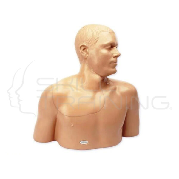 Modelo de línea central de ultrasonido Gen II con tejido transparente - Imagen 1