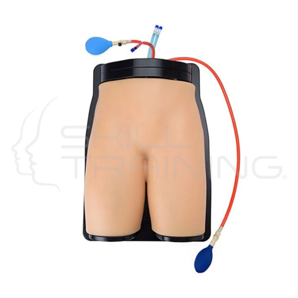 Modelo de entrenamiento de ultrasonido de acceso vascular femoral y anestesia regional Gen II - Imagen 1
