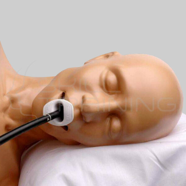 Ecocardiografía transtorácica y pericardiocentesis - Imagen 1