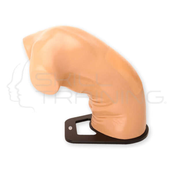 Modelo de entrenamiento de ultrasonido de toracocentesis medial - Imagen 1