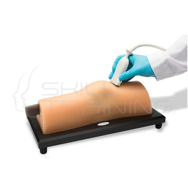 Ultrasonido musculoesquelético (MSK) Blue Phantom - Imagen 3