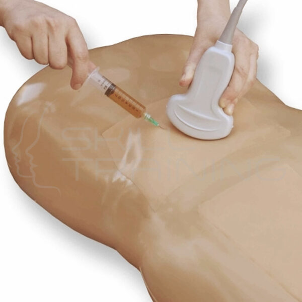 Modelo de entrenamiento de ultrasonido de paracentesis con variaciones - Imagen 1