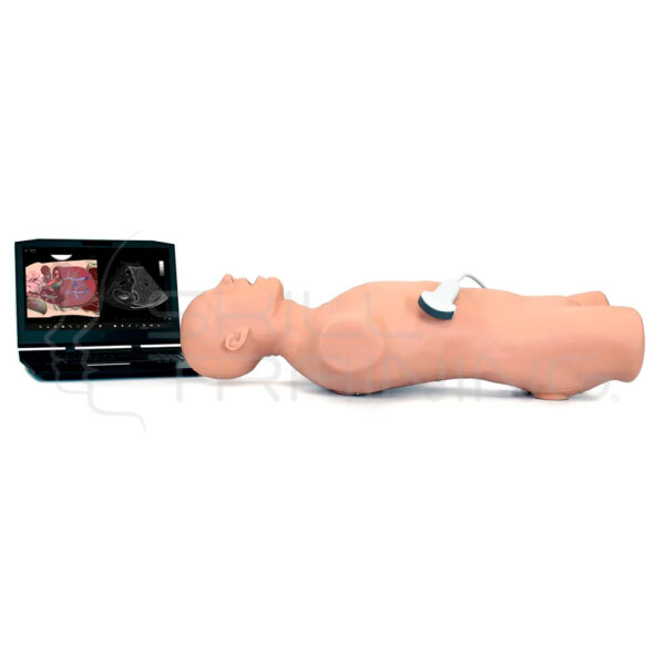 Elevate Healthcare Vimedix - Simulador de Ultrasonido Abdominal - Unidad Base - Imagen 1