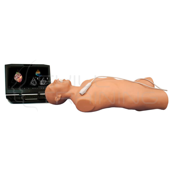 Elevate Healthcare Vimedix - Simulador de Ultrasonido Cardiaca Transtorácico Tte - Imagen 1