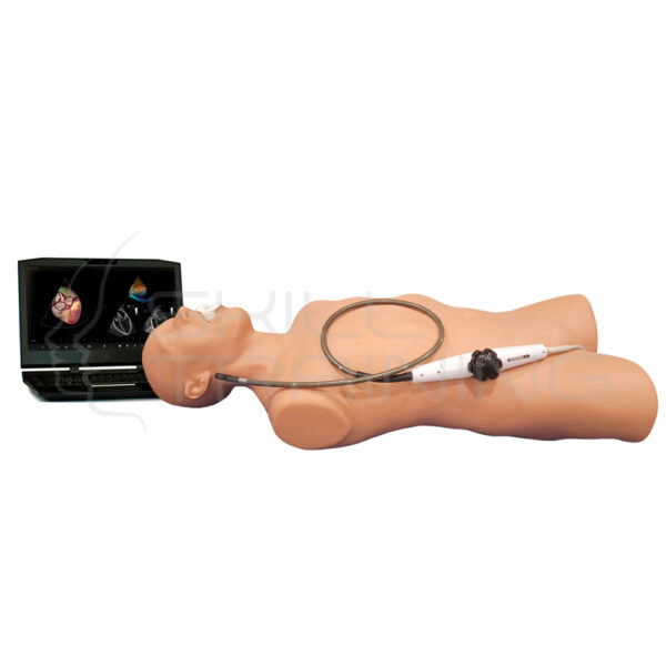 Elevate Healthcare Vimedix - Simulador de Ultrasonido Cardiaca Transesofágico Te - Imagen 1