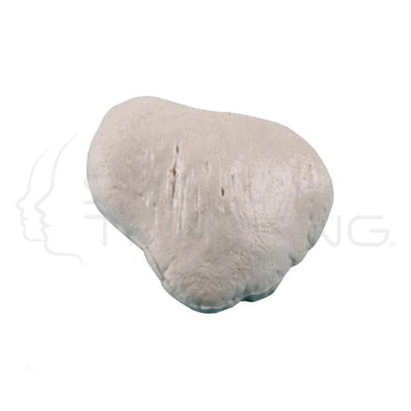 Rótula derecha (rótula) - Imagen 1