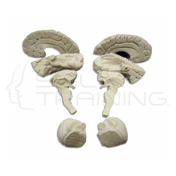 Soft Brain, 8 Parts - Imagen 1