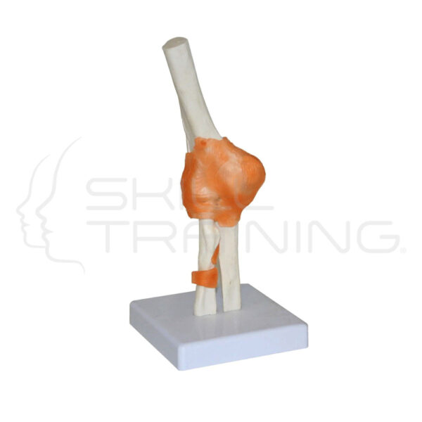 Elbow Joint - Imagen 1
