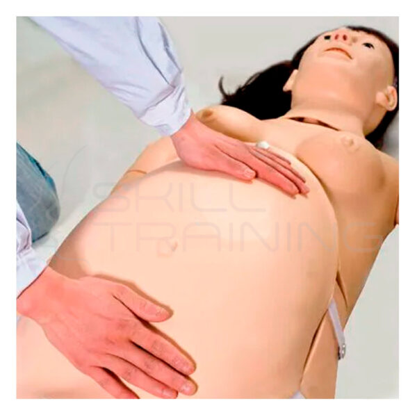 Abdomen para Simulador de Parto Alice - Imagen 1