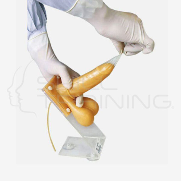 Male Condom Simulator - Imagen 1