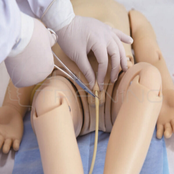 Model of Pediatric Urethral Catheterization - Imagen 1