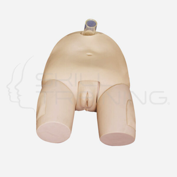 Bladder Puncture Simulator(female) - Imagen 1