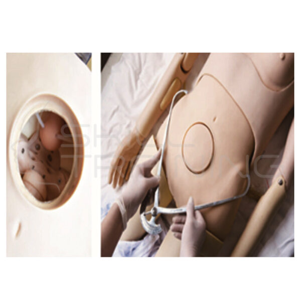 Simulador de Medición de Pelvis - Imagen 1