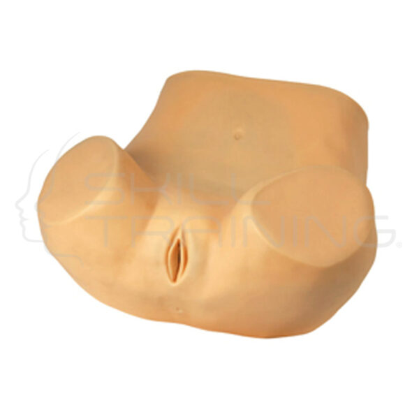 Gynecological Examination Simulator - Imagen 1