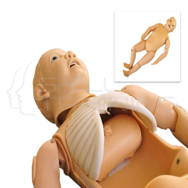 Child Thoracocentesis Training Simulator - Imagen 1