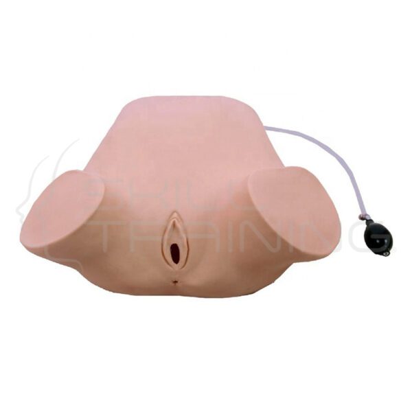 Simulador de Maniobras de Leopold, Examen Anal y Vaginal - Imagen 1