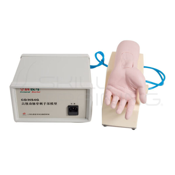 Brazo Adulto para Punción Arterial con Flujo Automático - Imagen 1