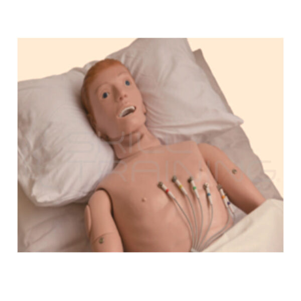Torso Simulador de Electrocardiograma (ecg) - Imagen 1