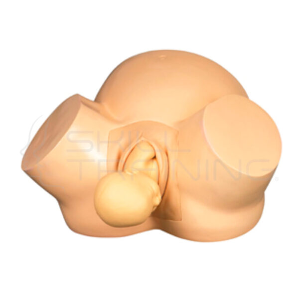 Simulador Neonatal de Resucitación Cardiopulmonar con Inserción de Picc E Ivc - Imagen 1
