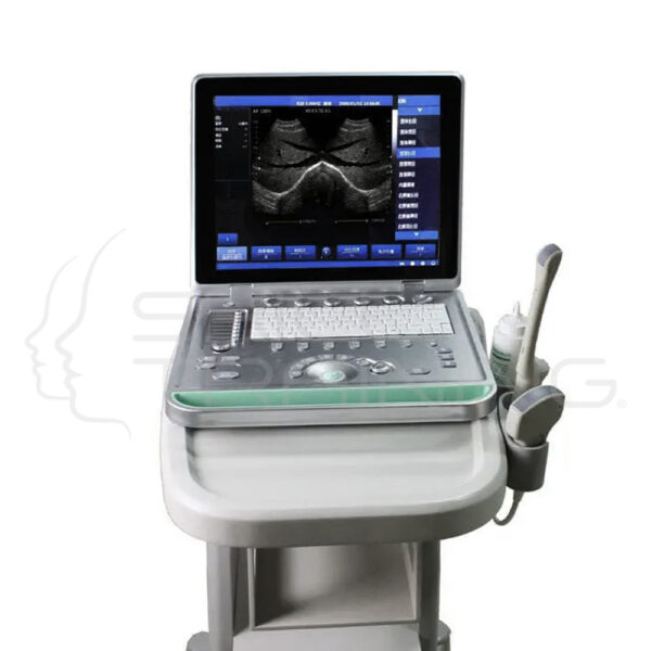 Laptop B/w Ultrasound Scanner w/ Convex Transducer - Imagen 1