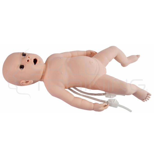 Neonatal Catherization & Clysis Model - Imagen 1