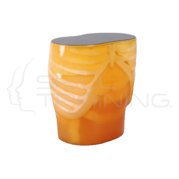 Ct Abdomen Phantom - Imagen 1