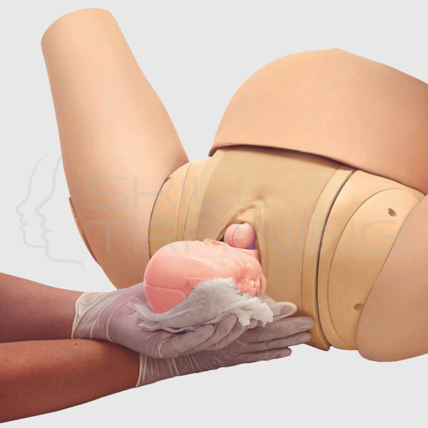 Torso Simulador de Asistencia de Parto Vaginal - Imagen 1