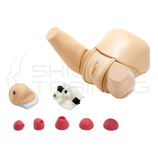 Simulador de Evaluación Cervical - Imagen 1