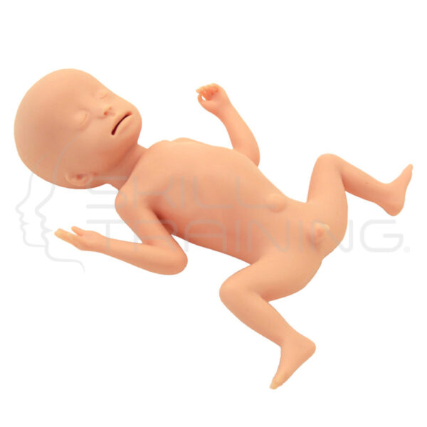 Extremely Low Birth Weight Infant Simulator - Imagen 1