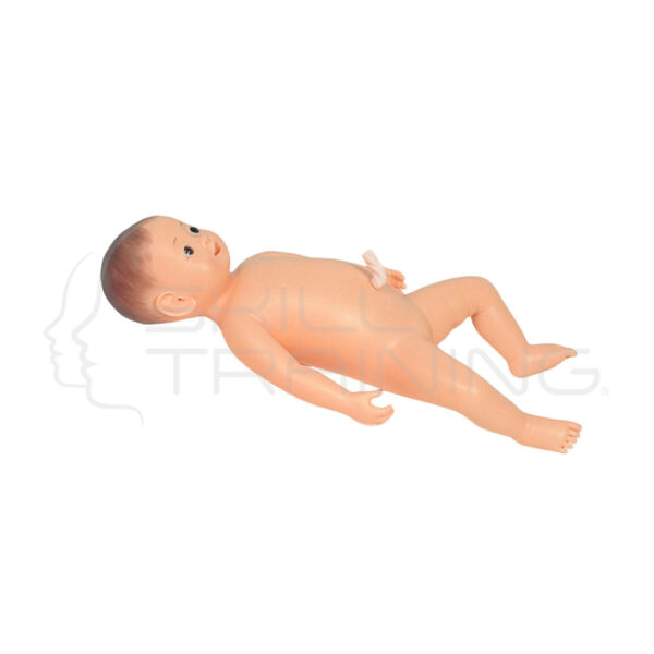 Newborn Bathing and Nursery Care Model Female - Imagen 1