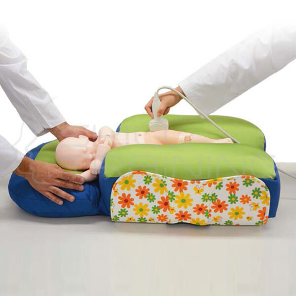Infant Hip Sonography Training Phantom - Imagen 1