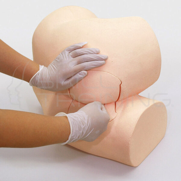 Digital Rectal Simulator - Imagen 1