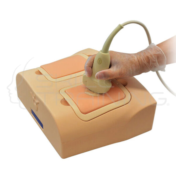 Pulmonary Ultrasound Training Phantom - Imagen 1
