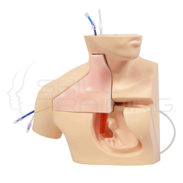 Simulador de Inserción CVC Iii - Imagen 1