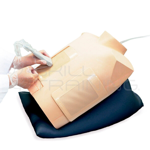 Simulador de Pericardiocentesis Guiada por Ultrasonido - Imagen 1