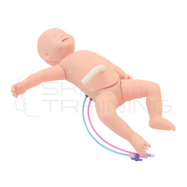 Simulador Neonatal de Resucitación Cardiopulmonar con Inserción de Picc E Ivc - Imagen 1