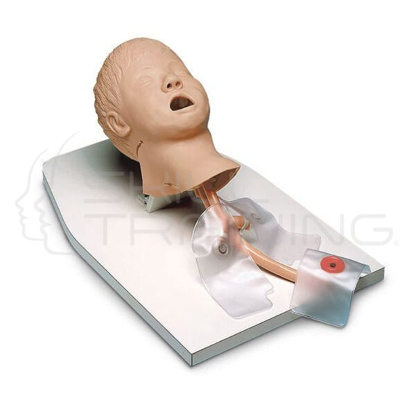 Child Airway Management Trainer with Stand - Imagen 1