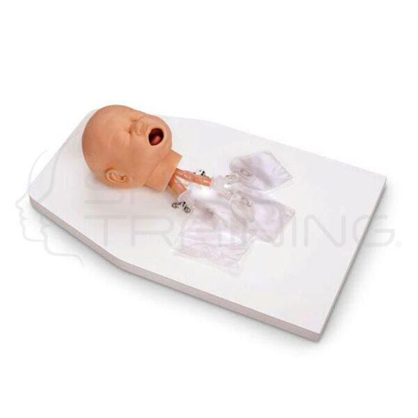 Infant Airway Management Trainer with Stand - Imagen 1