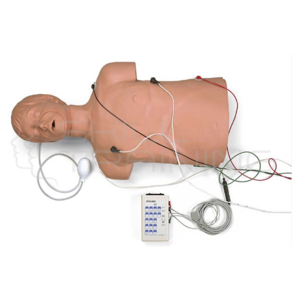 Defibrillation/CPR Training Manikin - Imagen 1