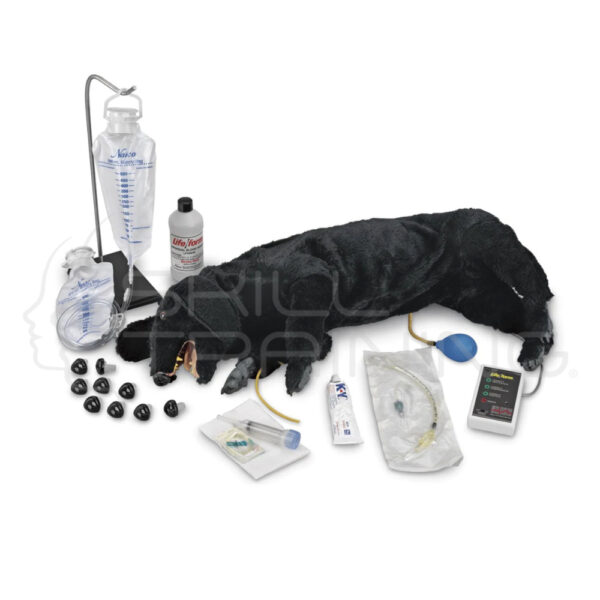 Life/form Advanced Sanitary CPR Dog - Imagen 1