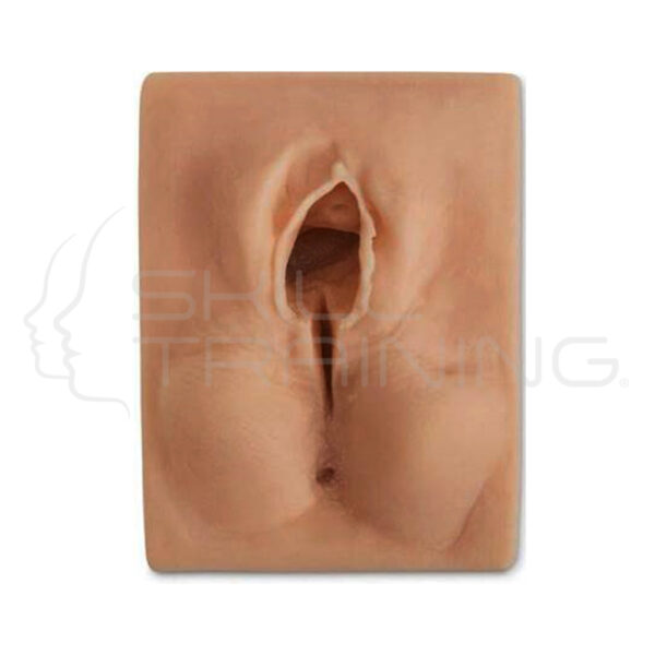 Episiotomy Midline Suture Simulator - Imagen 1