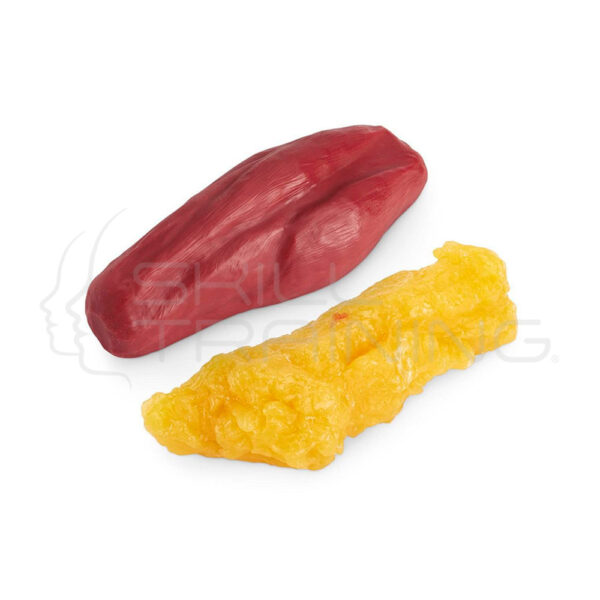 Modelo Réplica de 2,3 kg de Musculo y 2,3 kg de Grasa - Imagen 1